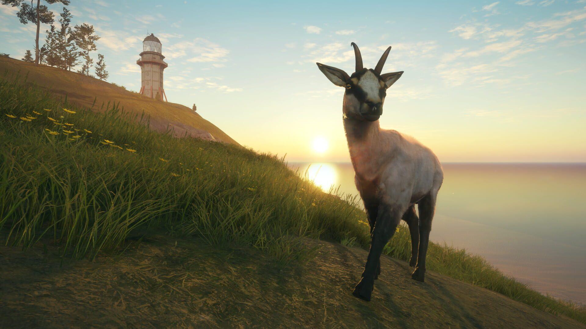 TheHunter: Call of the Wild - Te Awaroa National Park - gameplay screenshot