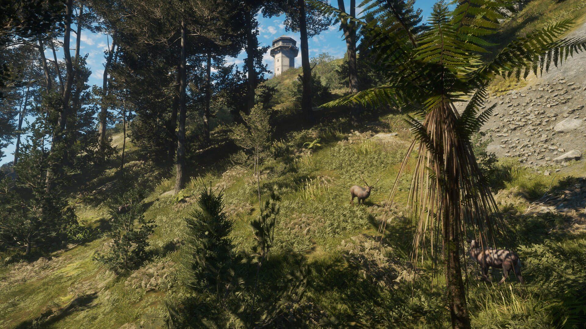 TheHunter: Call of the Wild - Te Awaroa National Park - świat gry, lokacja