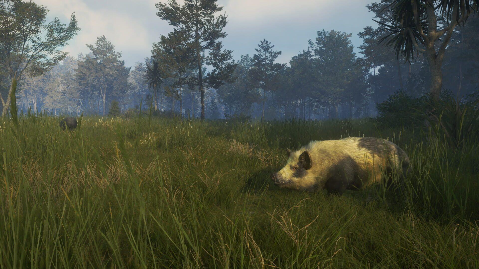TheHunter: Call of the Wild - Te Awaroa National Park - akcja w grze
