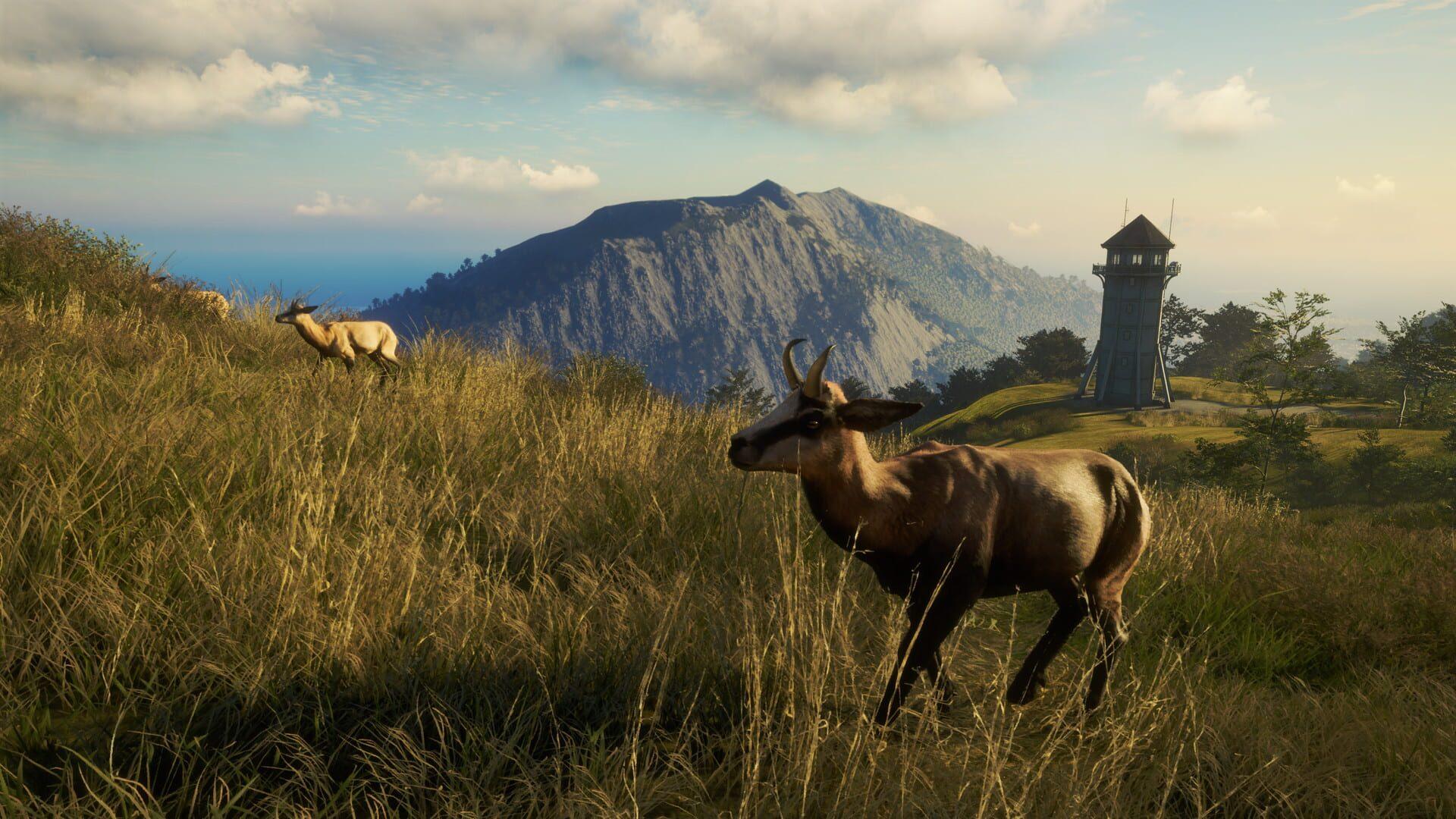 TheHunter: Call of the Wild - Te Awaroa National Park - screenshot wysokiej jakości