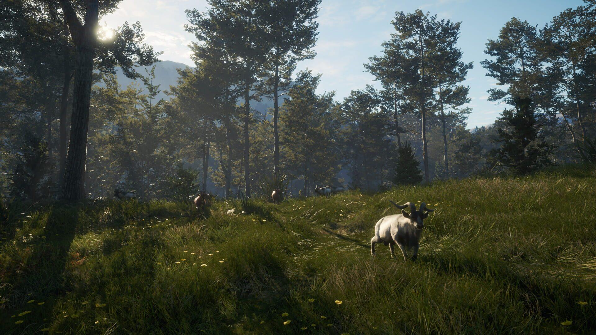 TheHunter: Call of the Wild - Te Awaroa National Park - obrazek z gry