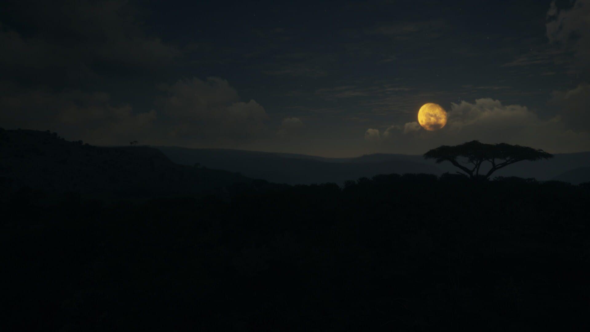 TheHunter: Call of the Wild - Vurhonga Savanna - akcja w grze